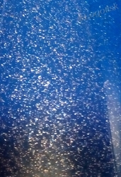 Nažehlovací fólie 20x20 cm glitrová modrá