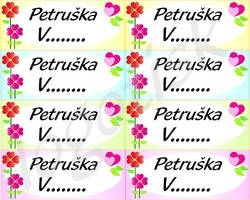 Nažehlovací štítky na textil-jméno na přání pro holky