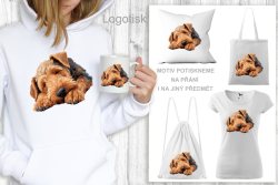 Polštář potisk ERDELTERIÉR - KRÁSNÉ SNY