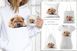 Polštář potisk ŠARPEJ - KRÁSNÉ SNY