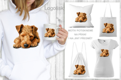 Polštář potisk Velšteriér - KRÁSNÉ SNY